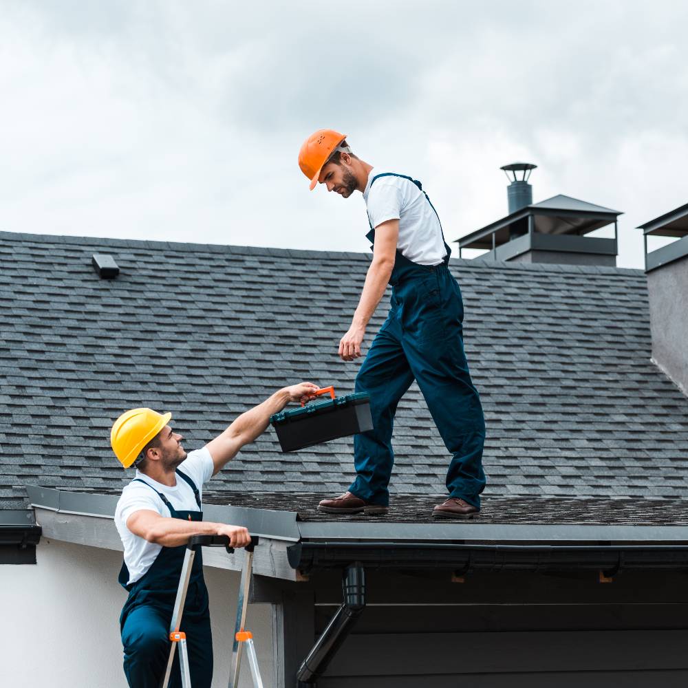 Commercial & Residential Roof Repair Expert