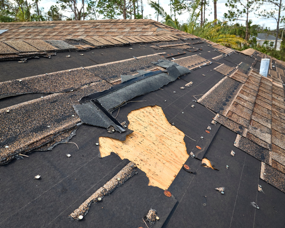 Roof Leak Repair in Boca Raton