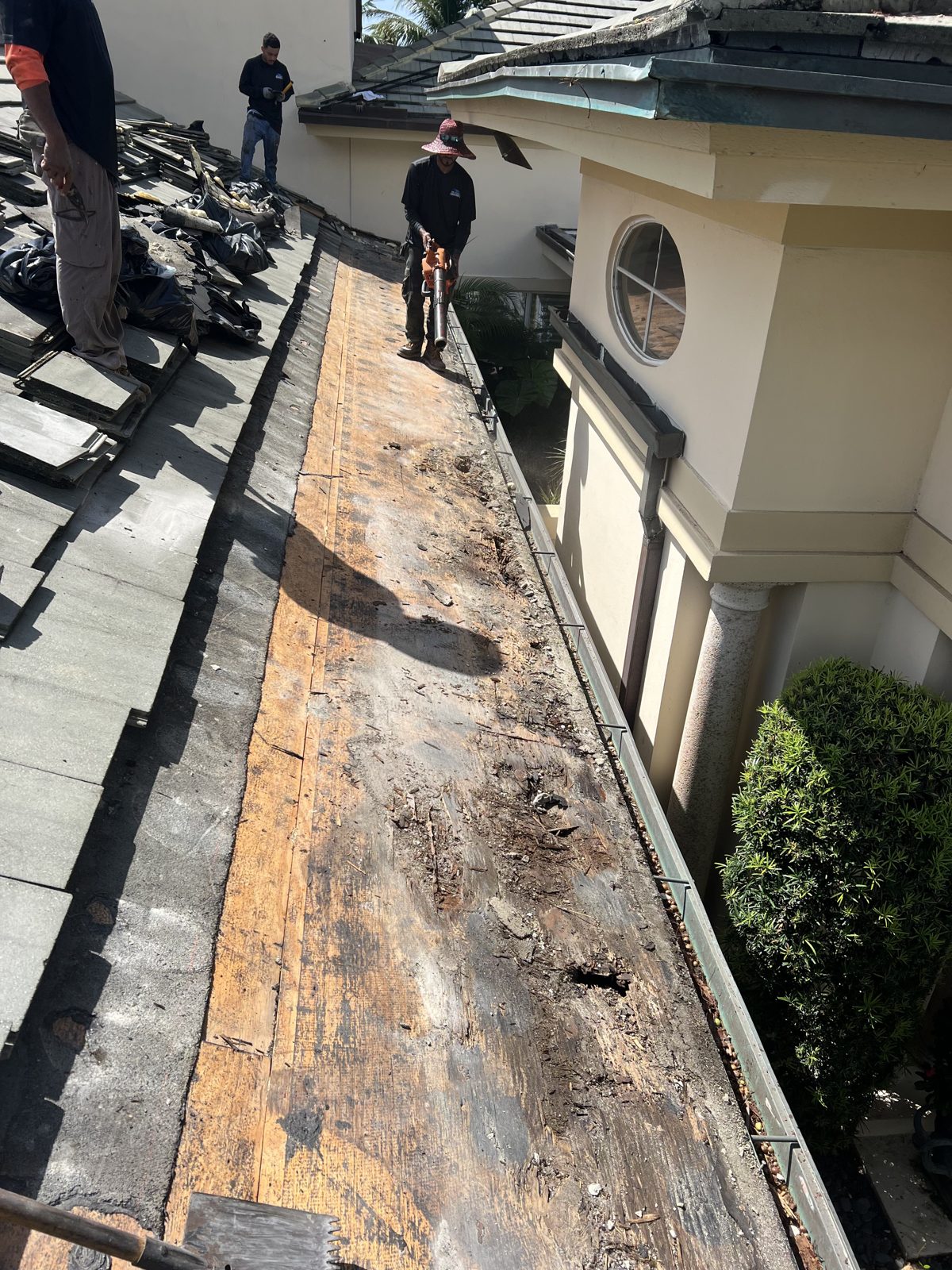 Mike McGilvary Roofing crew rebuilding the roof deck and underlayment, tile lifted and preserved