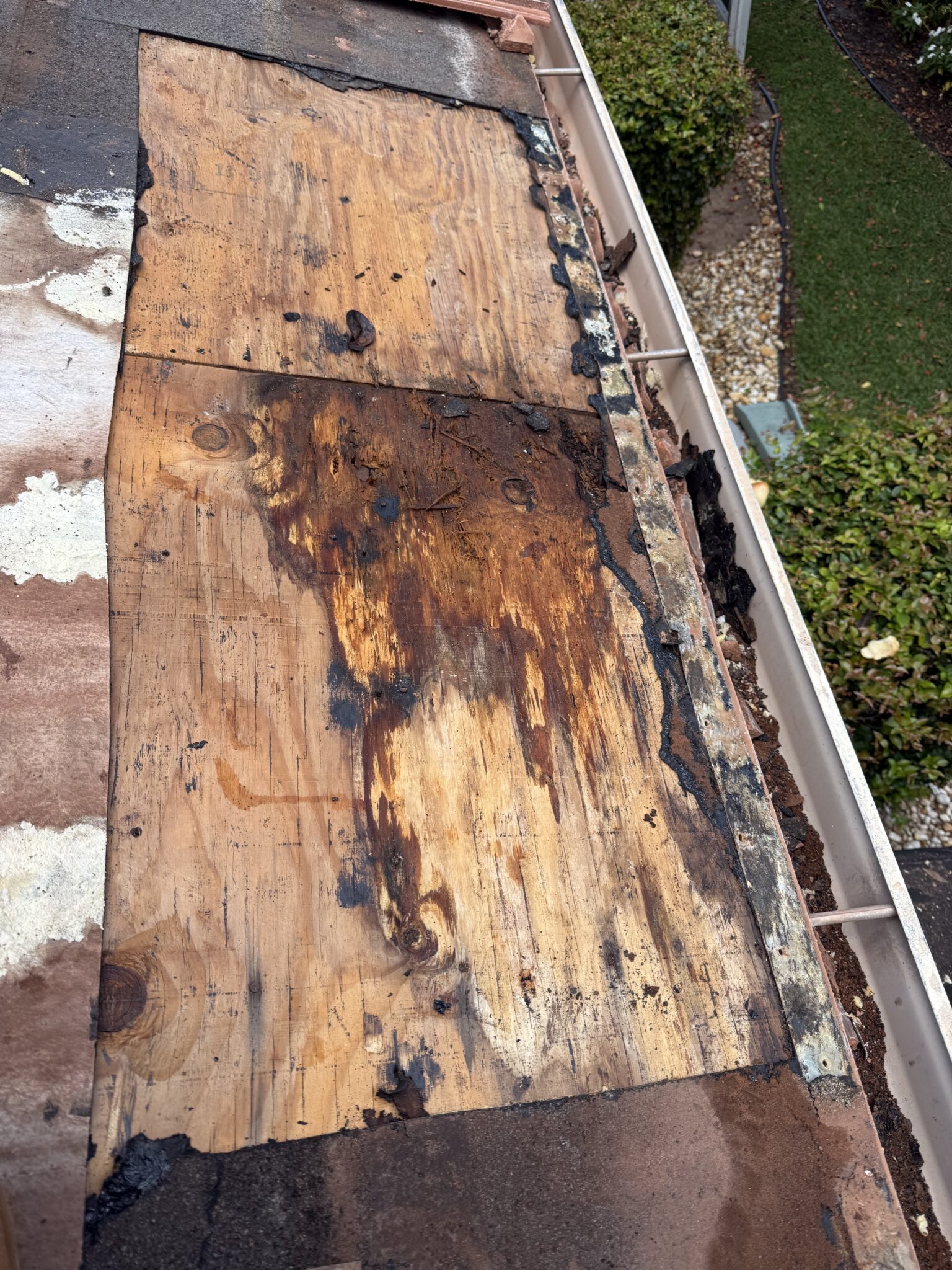 Rotted, water-damaged roof decking missed by previous repairs